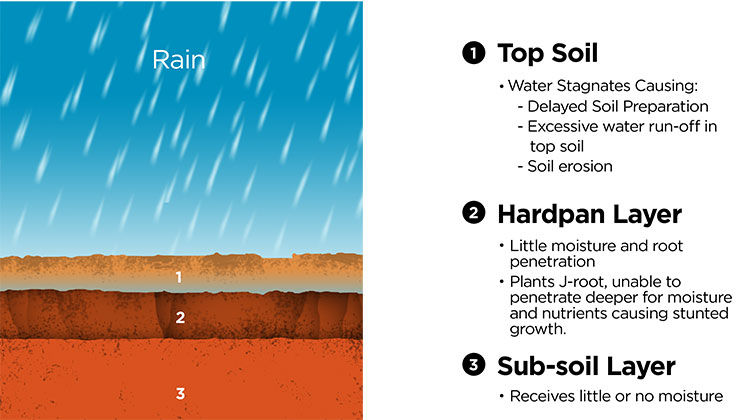 Soil Compaction Issues, Before Deep Ripping