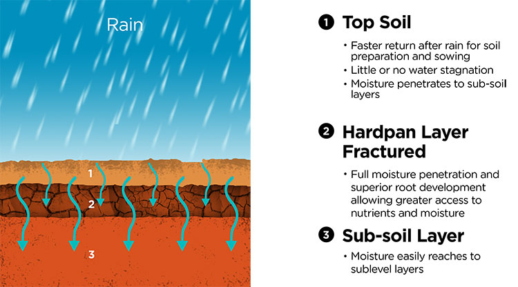 Soil Structure After Deep Ripping