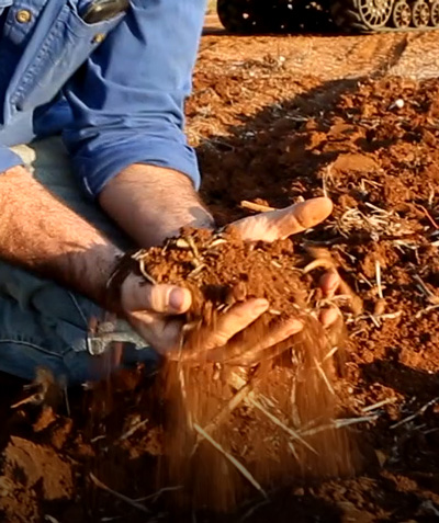 hands in soil