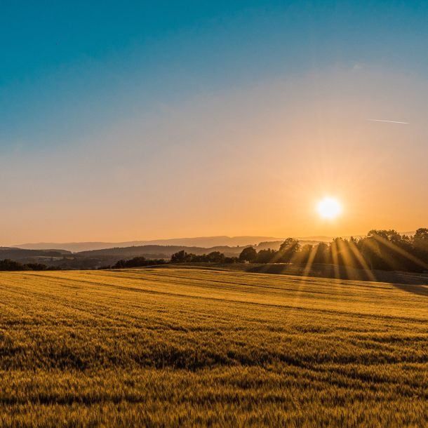 Case Study: Adaptation & Innovation on the Carey’s Coolamon Property