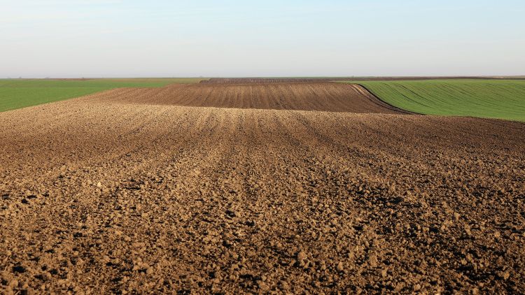 Freshly tilled undulating field