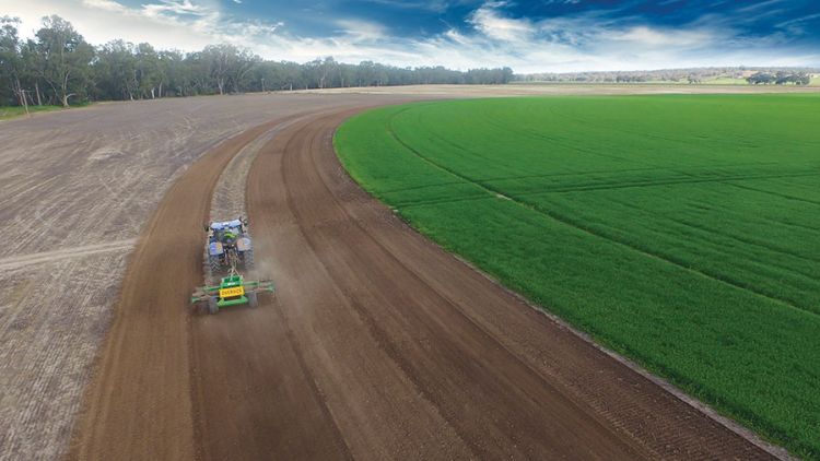 Fodder in focus – Silvermere Holsteins, Cowra NSW