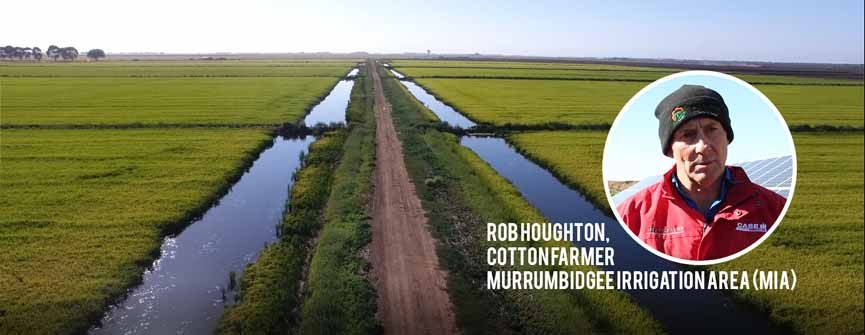 Rob Houghton, Cotton Farmer