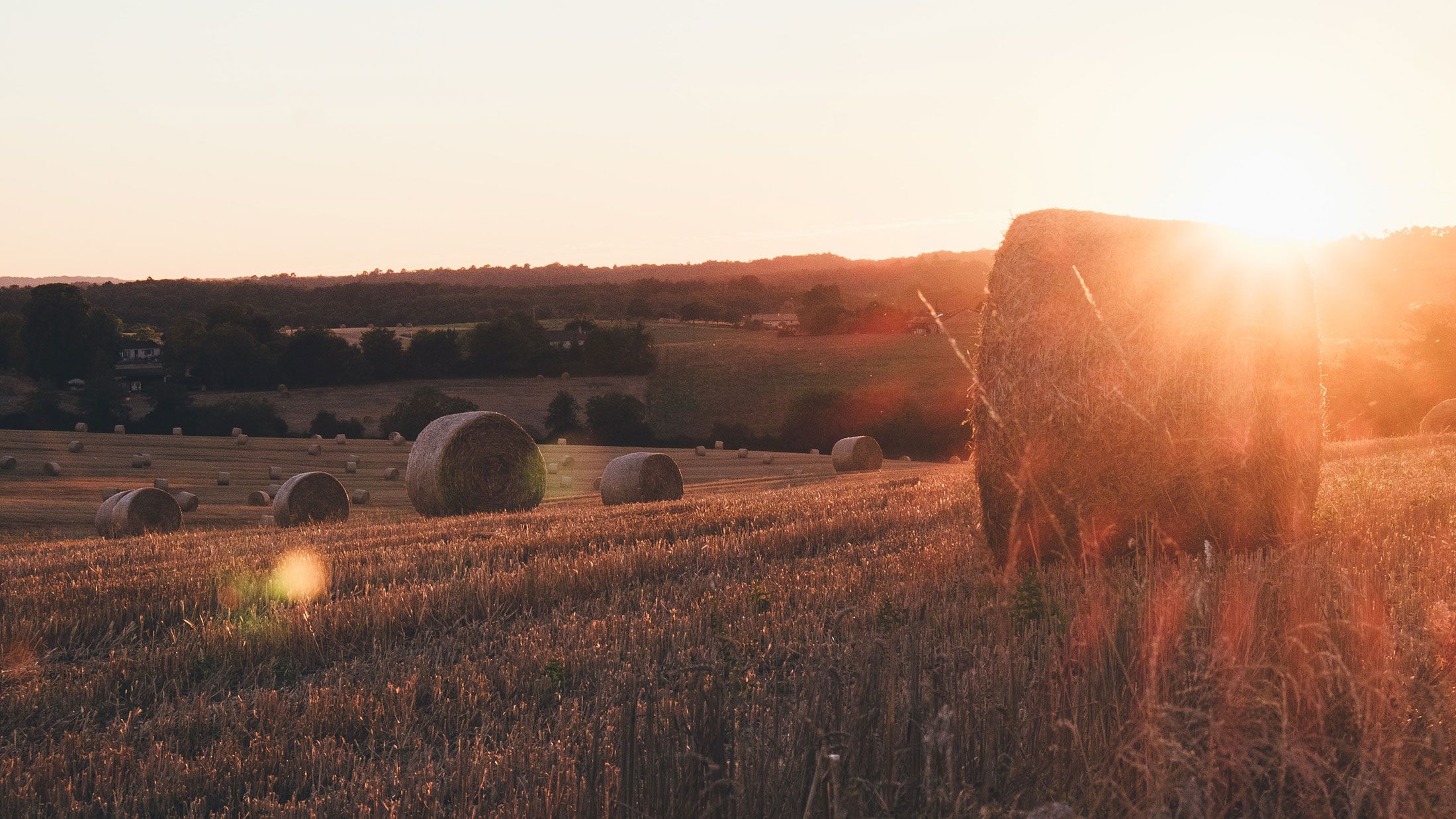 Fodder Conservation 101