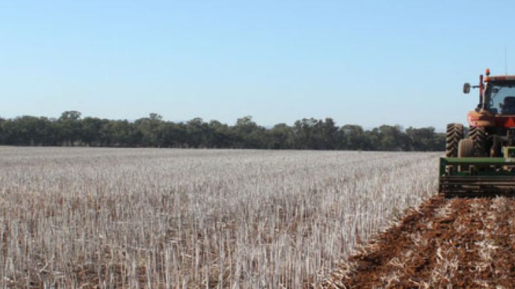 Get to the Point: Winged Cast & Ripping Points for Tillage Applications