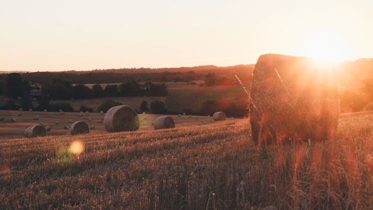 Fodder Conservation 101