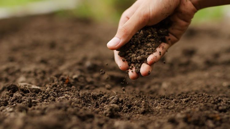 Farmer's hand crumbling freshly tilled soil