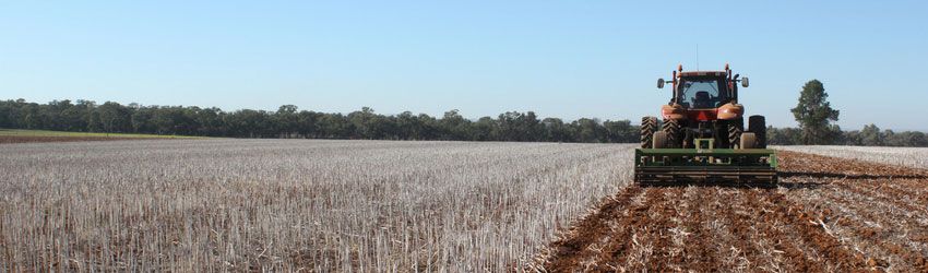 Get to the Point: Winged Cast & Ripping Points for Tillage Applications