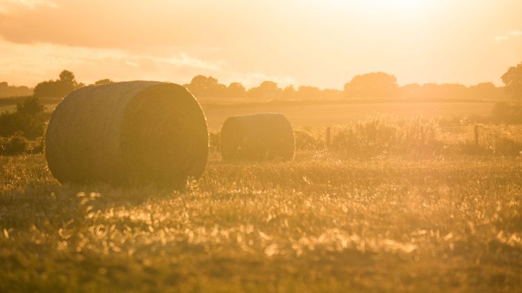 Speedtiller® Does the Job in Getting Through Stubbles