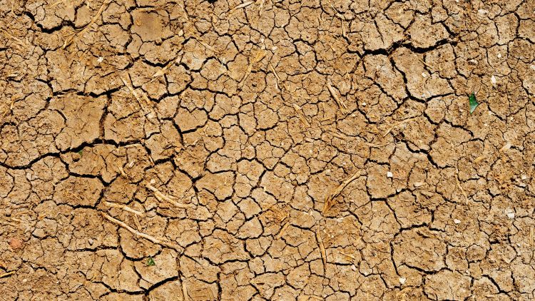 Drought Relief Package Boosted To Over Half A Billion Dollars