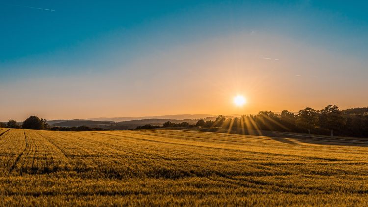 Case Study: Adaptation & Innovation on the Carey’s Coolamon Property