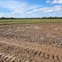 A muddy paddock criss-crossed with tractor tracks